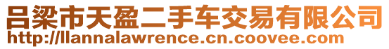 呂梁市天盈二手車交易有限公司