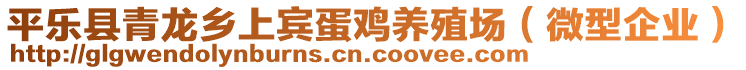 平樂縣青龍鄉(xiāng)上賓蛋雞養(yǎng)殖場（微型企業(yè)）