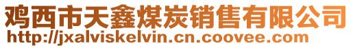 雞西市天鑫煤炭銷售有限公司