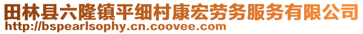 田林縣六隆鎮(zhèn)平細村康宏勞務(wù)服務(wù)有限公司