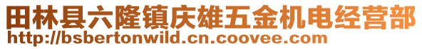 田林縣六隆鎮(zhèn)慶雄五金機電經(jīng)營部