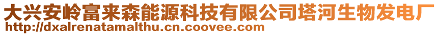 大興安嶺富來森能源科技有限公司塔河生物發(fā)電廠