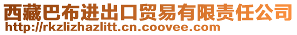 西藏巴布進(jìn)出口貿(mào)易有限責(zé)任公司