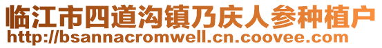 臨江市四道溝鎮(zhèn)乃慶人參種植戶