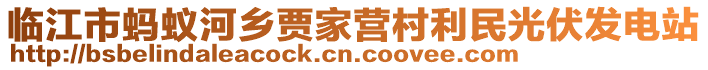 臨江市螞蟻河鄉(xiāng)賈家營(yíng)村利民光伏發(fā)電站