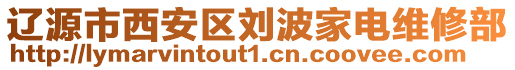 遼源市西安區(qū)劉波家電維修部