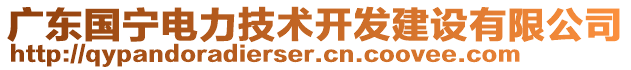 广东国宁电力技术开发建设有限公司