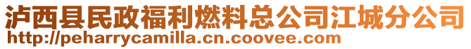 瀘西縣民政福利燃料總公司江城分公司