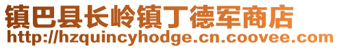 鎮(zhèn)巴縣長嶺鎮(zhèn)丁德軍商店
