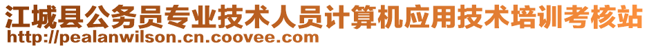 江城縣公務(wù)員專業(yè)技術(shù)人員計(jì)算機(jī)應(yīng)用技術(shù)培訓(xùn)考核站