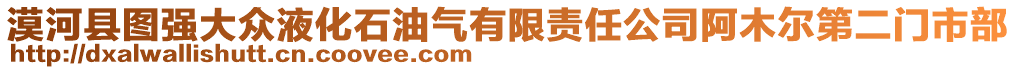 漠河縣圖強大眾液化石油氣有限責任公司阿木爾第二門市部