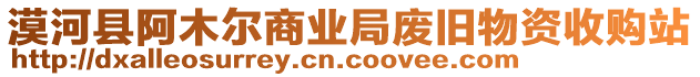 漠河縣阿木爾商業局廢舊物資收購站