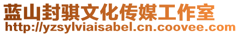 藍(lán)山封騏文化傳媒工作室