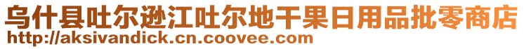 烏什縣吐爾遜江吐爾地干果日用品批零商店