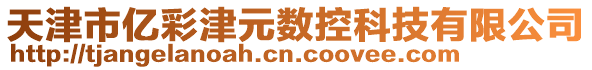 天津市億彩津元數控科技有限公司