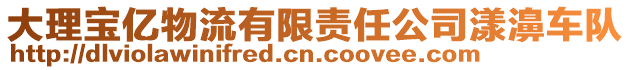 大理寶億物流有限責任公司漾濞車隊