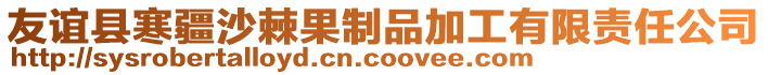 友誼縣寒疆沙棘果制品加工有限責(zé)任公司
