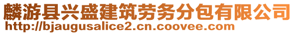 麟游县兴盛建筑劳务分包有限公司