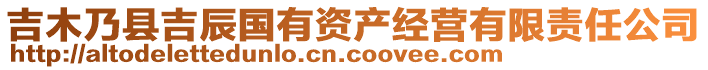 吉木乃县吉辰国有资产经营有限责任公司