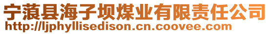 寧蒗縣海子壩煤業(yè)有限責(zé)任公司