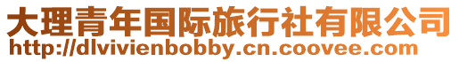 大理青年國際旅行社有限公司