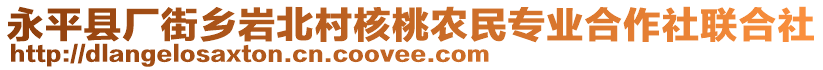 永平縣廠街鄉(xiāng)巖北村核桃農(nóng)民專業(yè)合作社聯(lián)合社