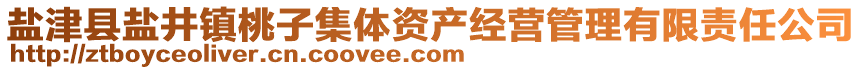 鹽津縣鹽井鎮(zhèn)桃子集體資產(chǎn)經(jīng)營管理有限責(zé)任公司