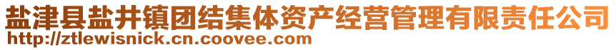 鹽津縣鹽井鎮(zhèn)團(tuán)結(jié)集體資產(chǎn)經(jīng)營管理有限責(zé)任公司