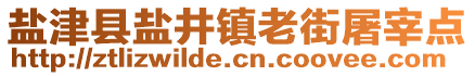 鹽津縣鹽井鎮(zhèn)老街屠宰點