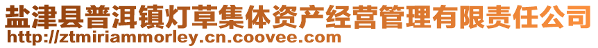 鹽津縣普洱鎮(zhèn)燈草集體資產(chǎn)經(jīng)營管理有限責(zé)任公司