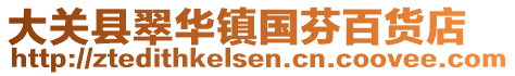 大關(guān)縣翠華鎮(zhèn)國(guó)芬百貨店