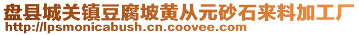 盤縣城關鎮豆腐坡黃從元砂石來料加工廠