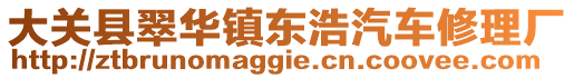 大關(guān)縣翠華鎮(zhèn)東浩汽車修理廠