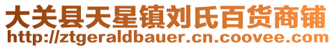 大關(guān)縣天星鎮(zhèn)劉氏百貨商鋪