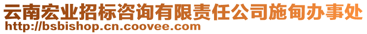 云南宏業(yè)招標咨詢有限責任公司施甸辦事處