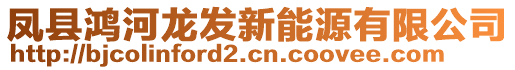 鳳縣鴻河龍發(fā)新能源有限公司