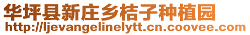 華坪縣新莊鄉桔子種植園