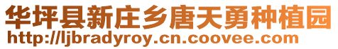 華坪縣新莊鄉唐天勇種植園