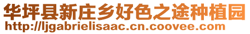 華坪縣新莊鄉(xiāng)好色之途種植園