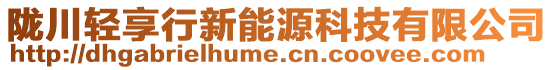 隴川輕享行新能源科技有限公司