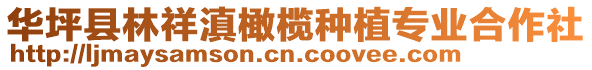 華坪縣林祥滇橄欖種植專業(yè)合作社