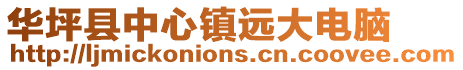 華坪縣中心鎮(zhèn)遠(yuǎn)大電腦