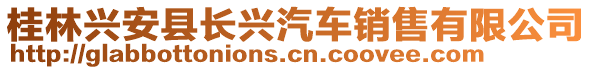 桂林興安縣長興汽車銷售有限公司