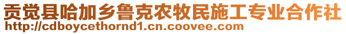 贡觉县哈加乡鲁克农牧民施工专业合作社