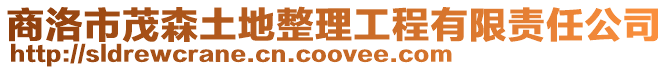 商洛市茂森土地整理工程有限責任公司
