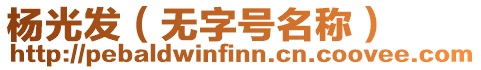 楊光發(fā)（無字號名稱）