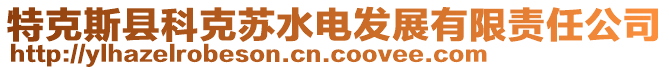特克斯縣科克蘇水電發(fā)展有限責(zé)任公司