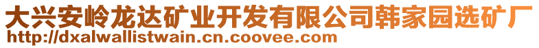 大興安嶺龍達(dá)礦業(yè)開發(fā)有限公司韓家園選礦廠