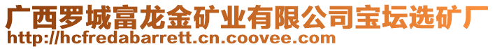 廣西羅城富龍金礦業(yè)有限公司寶壇選礦廠