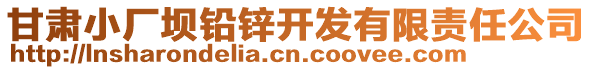 甘肅小廠壩鉛鋅開發(fā)有限責(zé)任公司